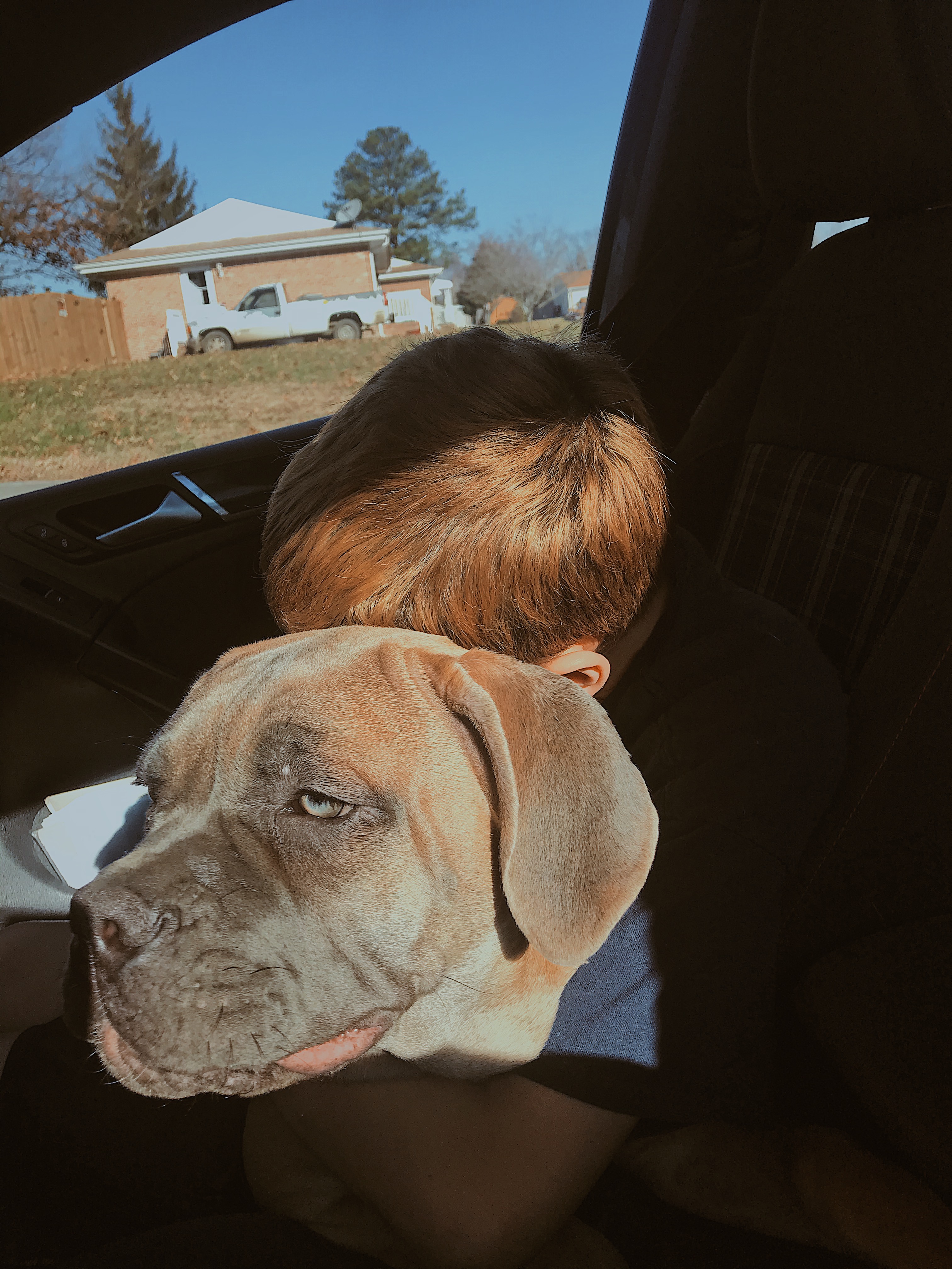 Creative Portraits 1